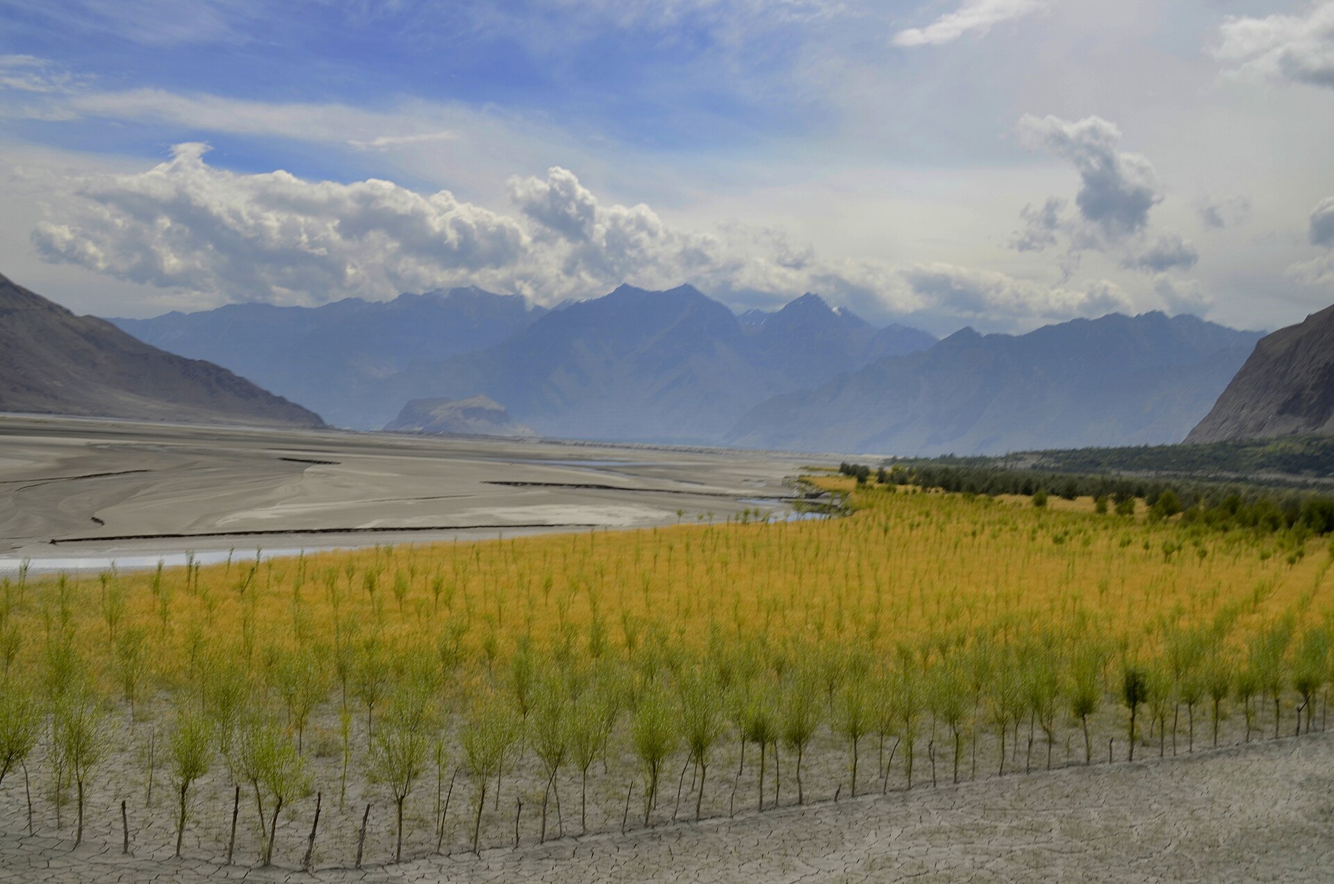 Skardu Valley